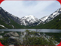 Cabaña - Lago Puelo - Chubut - Patagonia